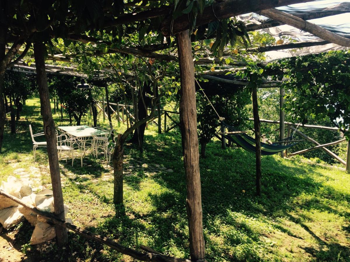Casa Flora Bed & Breakfast วิเอตริ ภายนอก รูปภาพ