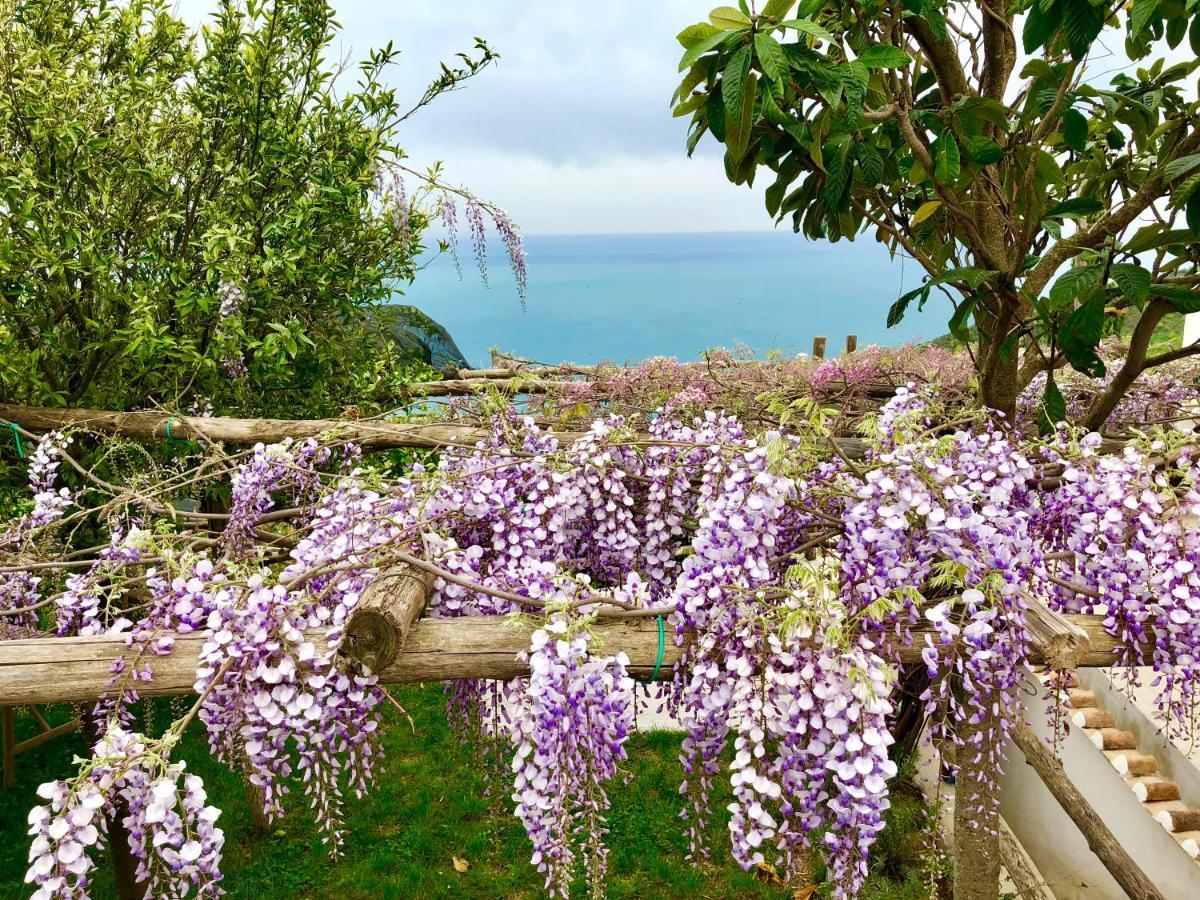 Casa Flora Bed & Breakfast วิเอตริ ภายนอก รูปภาพ
