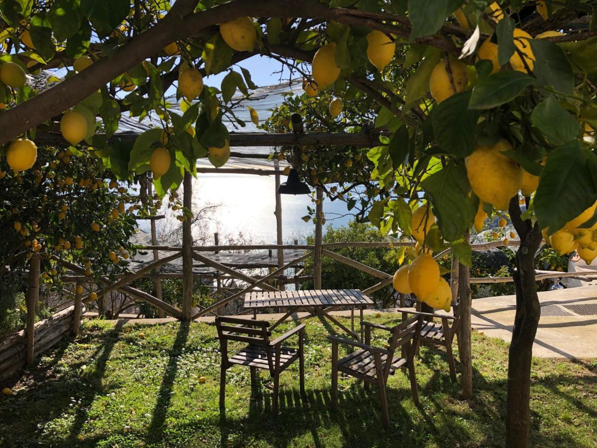 Casa Flora Bed & Breakfast วิเอตริ ภายนอก รูปภาพ