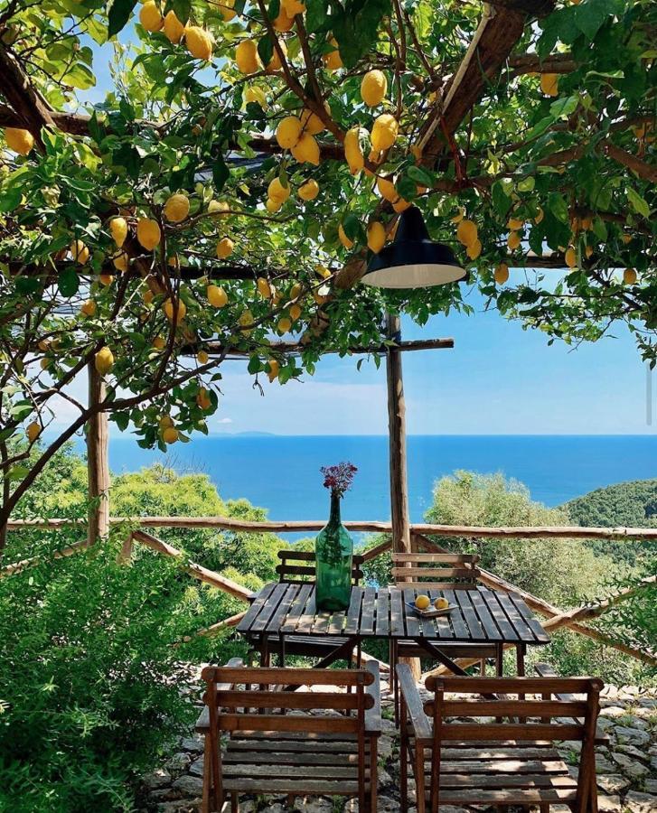 Casa Flora Bed & Breakfast วิเอตริ ภายนอก รูปภาพ